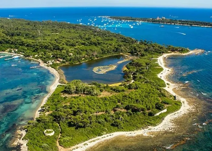 Apartment Cannes, Garden Level, Pool, Nearby Beaches Cannes