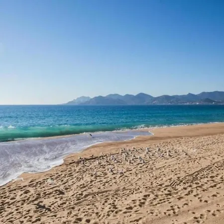 Apartament Standing, Magnifique Piscine, Parking, Proche Plages *